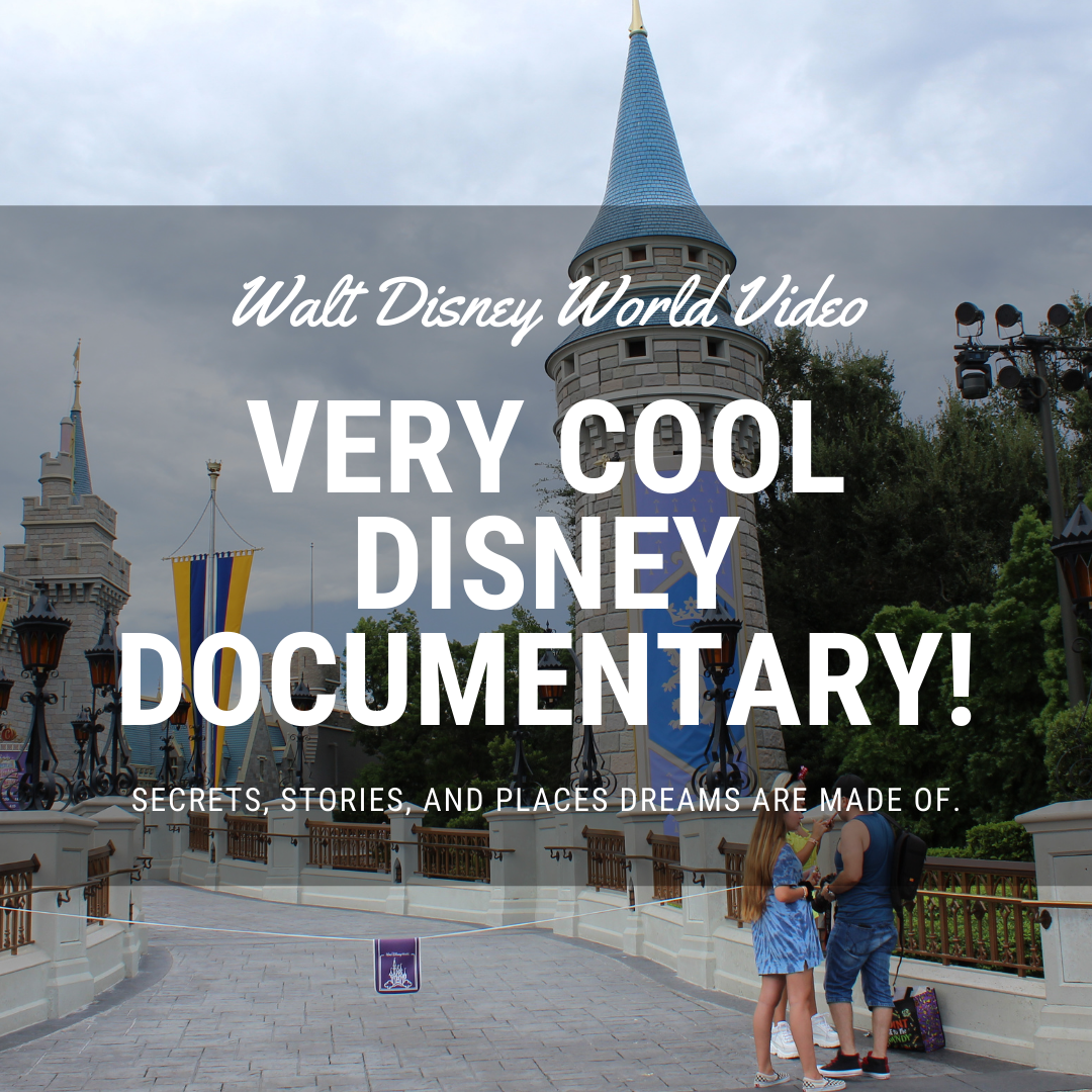 disney castle with people in front with text very cool disney documentary