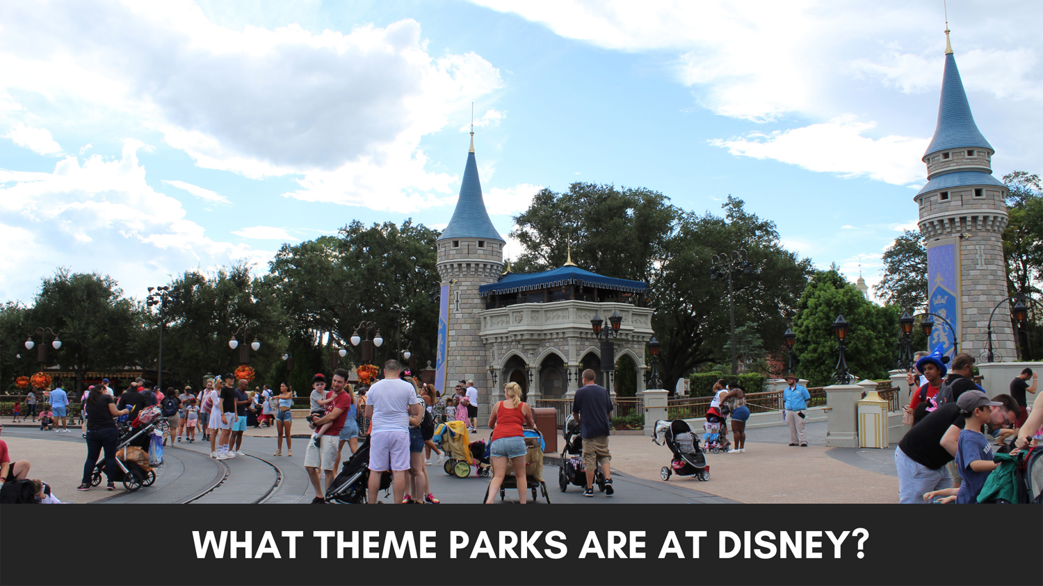 Magic Kingdom Crowd